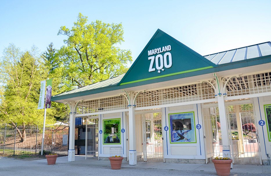 The Maryland Zoo in Baltimore, Maryland, USA
